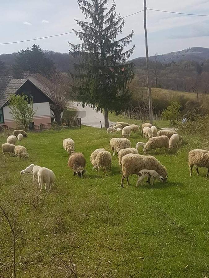 Ferienwohnung Kod Slaveka Kostanjevac Exterior foto